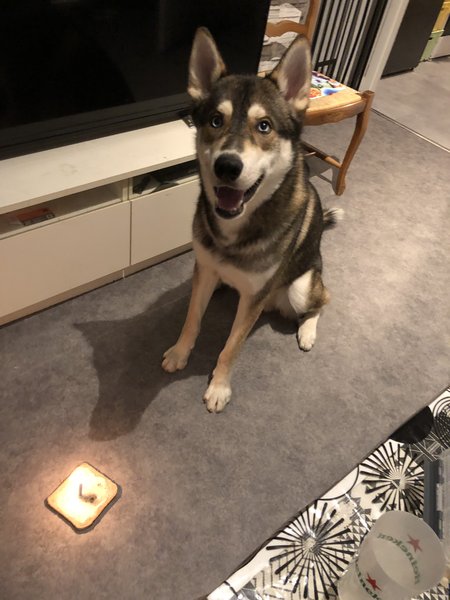 Son premier anniversaire